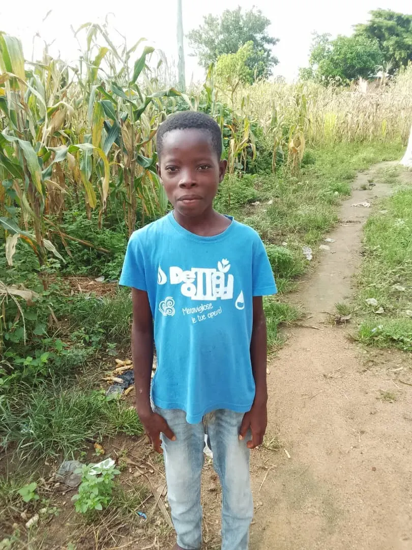 A child in a blue T-shirt standing on a footpath between maize fields